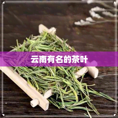 云南有名的茶叶