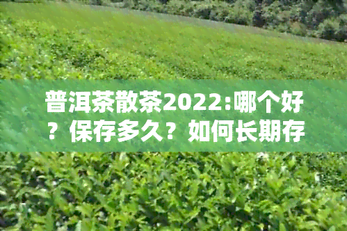 普洱茶散茶2022:哪个好？保存多久？如何长期存放？执行标准与品质特点。