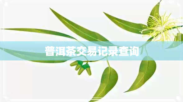 普洱茶交易记录查询