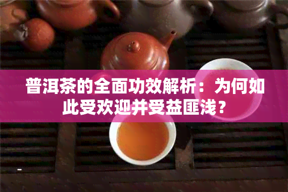 普洱茶的全面功效解析：为何如此受欢迎并受益匪浅？