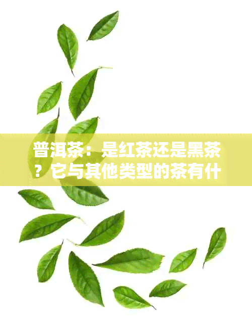 普洱茶：是红茶还是黑茶？它与其他类型的茶有什么区别？