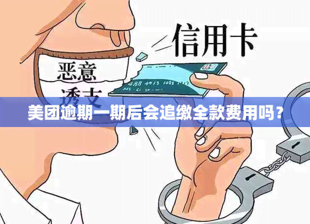 美团逾期一期后会追缴全款费用吗？