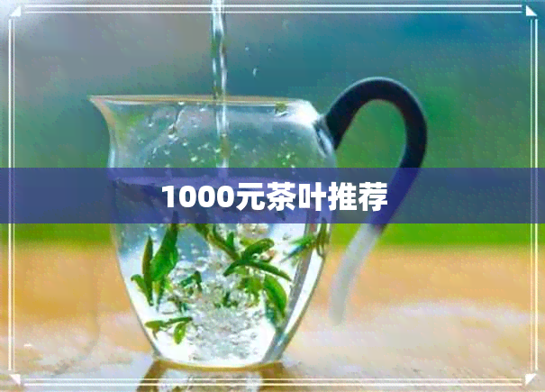 1000元茶叶推荐