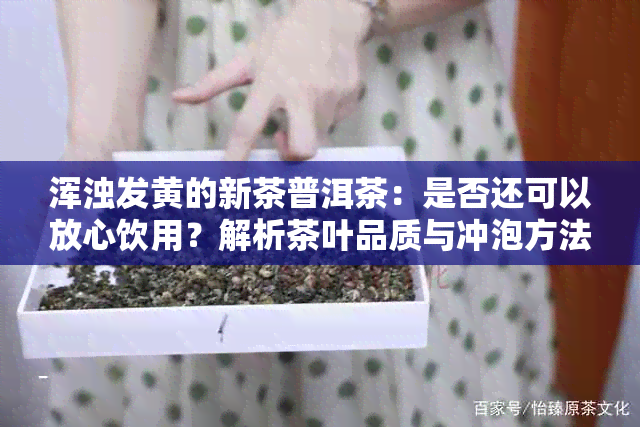 浑浊发黄的新茶普洱茶：是否还可以放心饮用？解析茶叶品质与冲泡方法