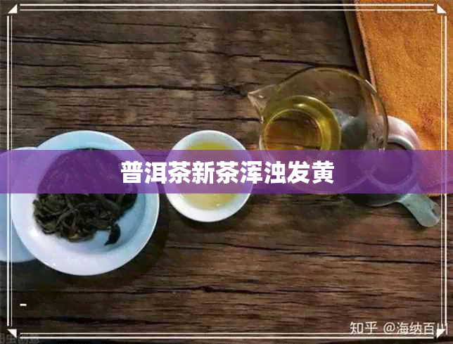 普洱茶新茶浑浊发黄