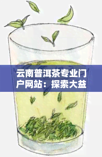 云南普洱茶专业门户网站：探索大益与云南茶叶文化的深度融合