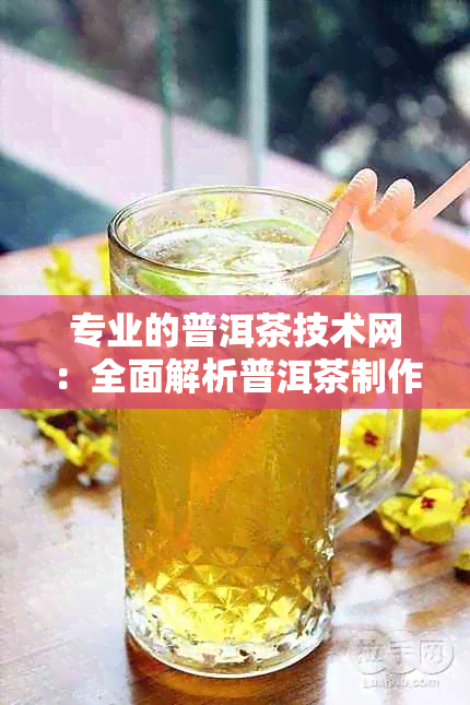 专业的普洱茶技术网：全面解析普洱茶制作与品鉴的专业网站汇总