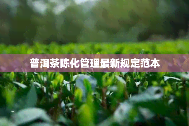 普洱茶陈化管理最新规定范本