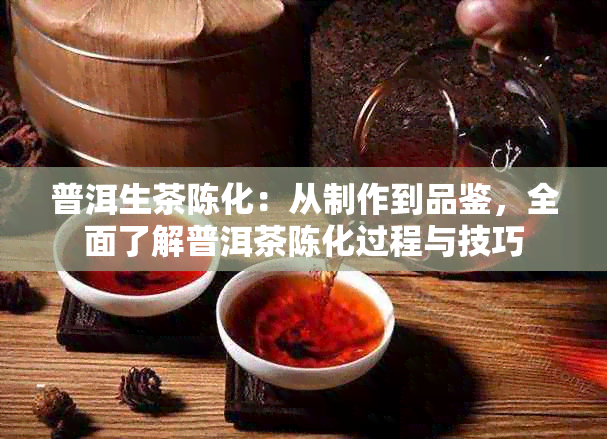 普洱生茶陈化：从制作到品鉴，全面了解普洱茶陈化过程与技巧