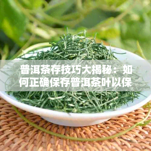 普洱茶存技巧大揭秘：如何正确保存普洱茶叶以保持其品质和风味？