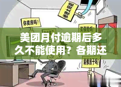 美团月付逾期后多久不能使用？各期还款日及逾期后果全面解析