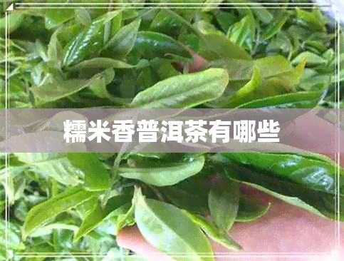 糯米香普洱茶有哪些