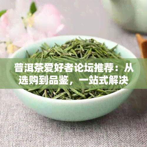 普洱茶爱好者论坛推荐：从选购到品鉴，一站式解决新手常见问题与心得分享