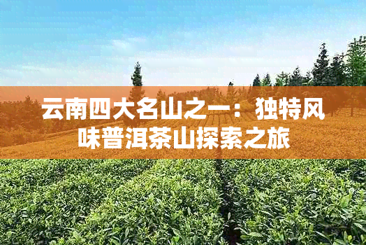 云南四大名山之一：独特风味普洱茶山探索之旅