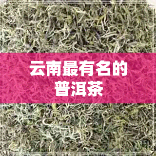 云南最有名的普洱茶