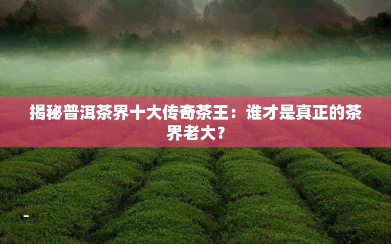 揭秘普洱茶界十大传奇茶王：谁才是真正的茶界老大？