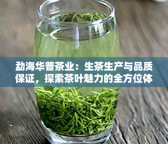 勐海华普茶业：生茶生产与品质保证，探索茶叶魅力的全方位体验