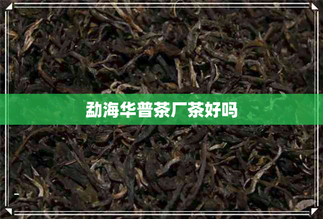 勐海华普茶厂茶好吗