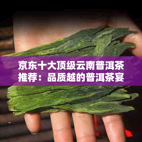 京东十大顶级云南普洱茶推荐：品质越的普洱茶宴