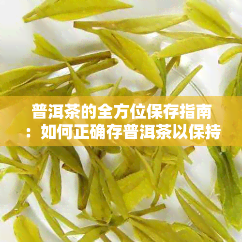 普洱茶的全方位保存指南：如何正确存普洱茶以保持其品质和口感？