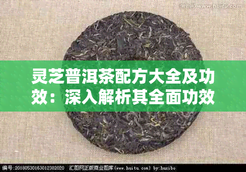 灵芝普洱茶配方大全及功效：深入解析其全面功效与独特作用