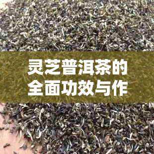 灵芝普洱茶的全面功效与作用解析：除了健，它还有哪些意想不到的好处？