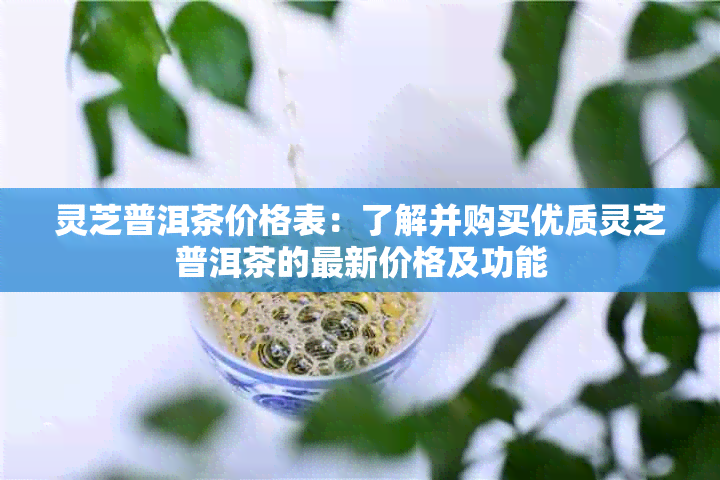 灵芝普洱茶价格表：了解并购买优质灵芝普洱茶的最新价格及功能