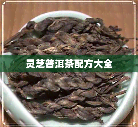 灵芝普洱茶配方大全