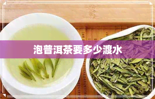 泡普洱茶要多少渡水