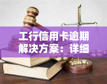 工行信用卡逾期解决方案：详细步骤与建议