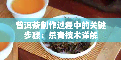 普洱茶制作过程中的关键步骤：杀青技术详解