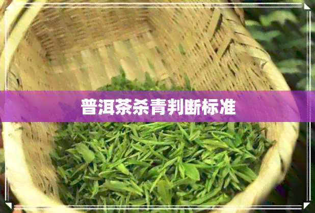 普洱茶杀青判断标准