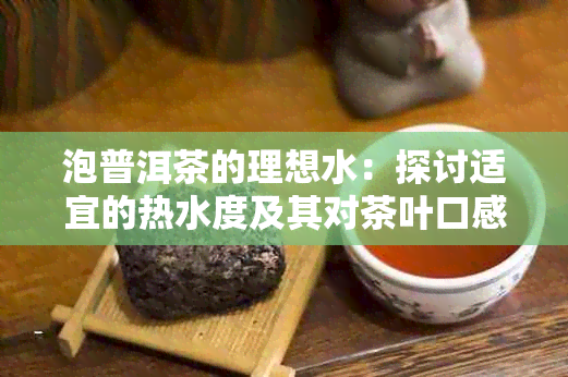 泡普洱茶的理想水：探讨适宜的热水度及其对茶叶口感的影响