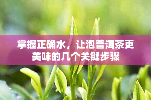 掌握正确水，让泡普洱茶更美味的几个关键步骤