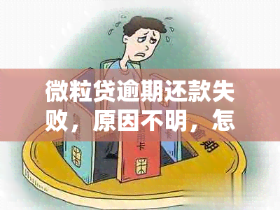 微粒贷逾期还款失败，原因不明，怎么办？