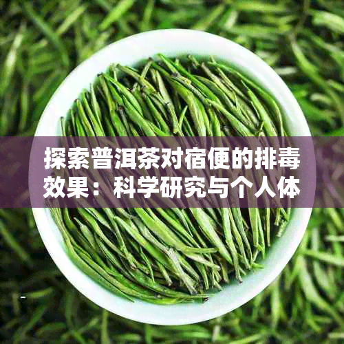 探索普洱茶对宿便的排效果：科学研究与个人体验的结合