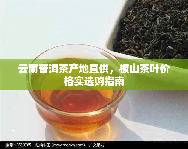 云南普洱茶产地直供，板山茶叶价格实选购指南