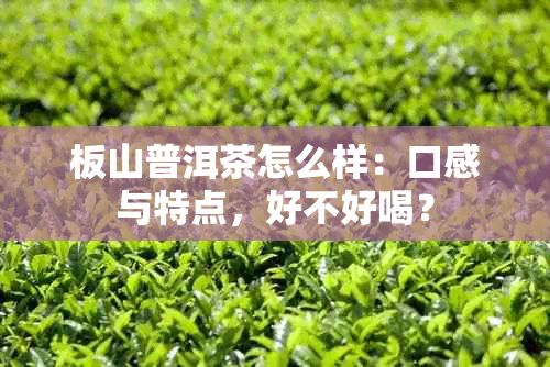 板山普洱茶怎么样：口感与特点，好不好喝？