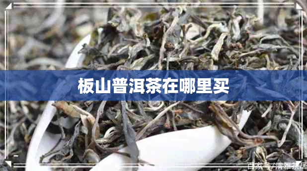 板山普洱茶在哪里买