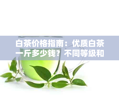 白茶价格指南：优质白茶一斤多少钱？不同等级和产地的价格差异解析