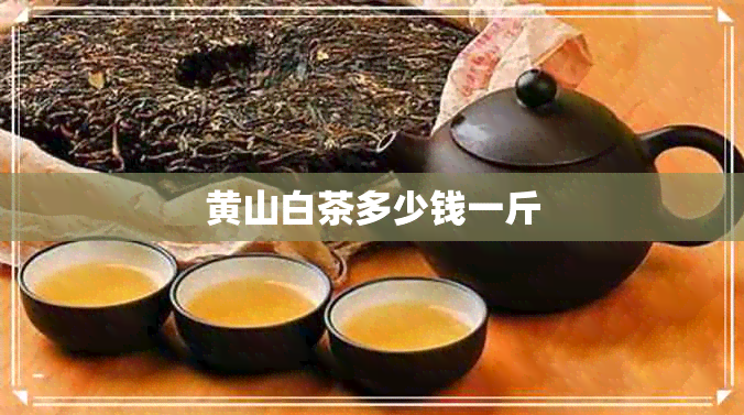 黄山白茶多少钱一斤