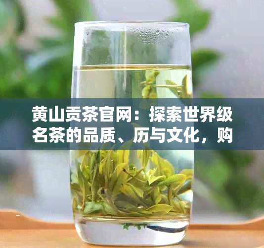 黄山贡茶官网：探索世界级名茶的品质、历与文化，购买地道茶叶的选择