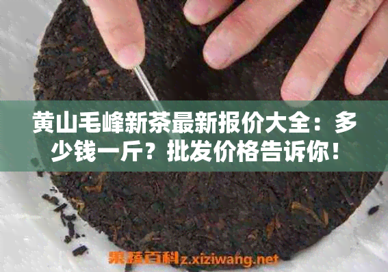 黄山毛峰新茶最新报价大全：多少钱一斤？批发价格告诉你！