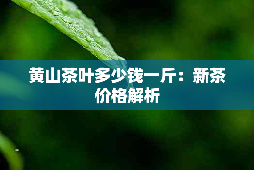 黄山茶叶多少钱一斤：新茶价格解析