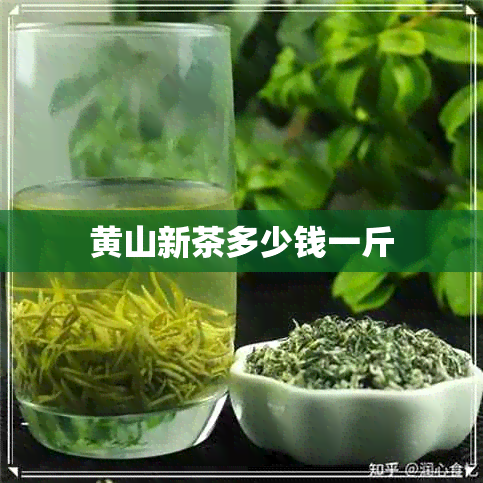 黄山新茶多少钱一斤