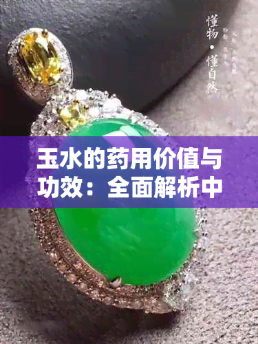 玉水的用价值与功效：全面解析中玉水的用途与作用