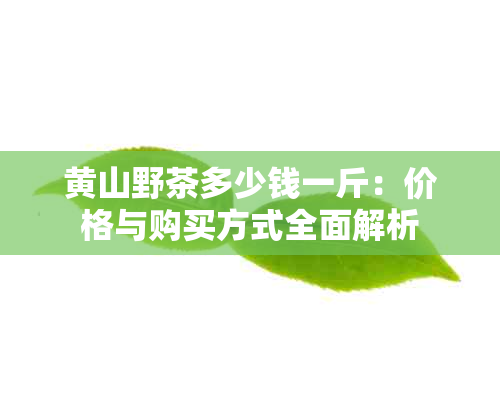 黄山野茶多少钱一斤：价格与购买方式全面解析