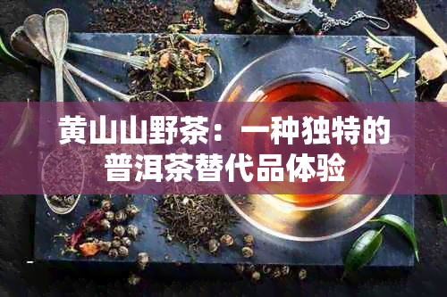 黄山山野茶：一种独特的普洱茶替代品体验