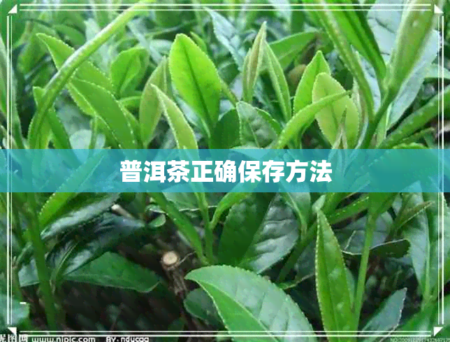 普洱茶正确保存方法