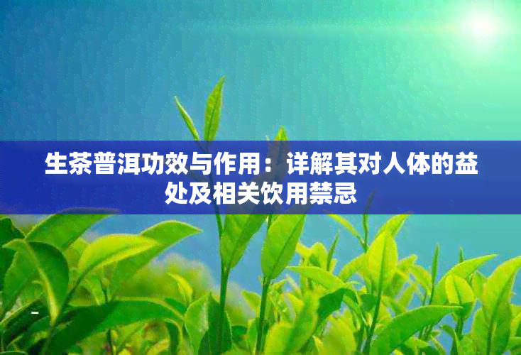 生茶普洱功效与作用：详解其对人体的益处及相关饮用禁忌